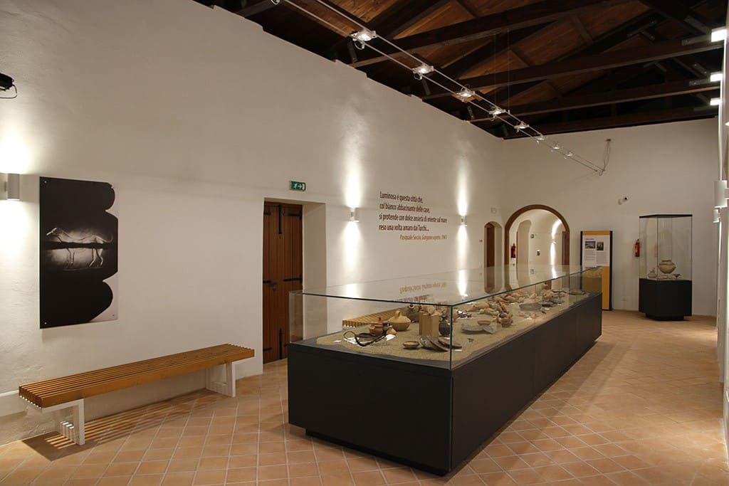 Museo Civico Archeologico Michele Petrone