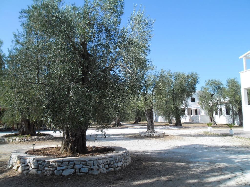 Villa Medina