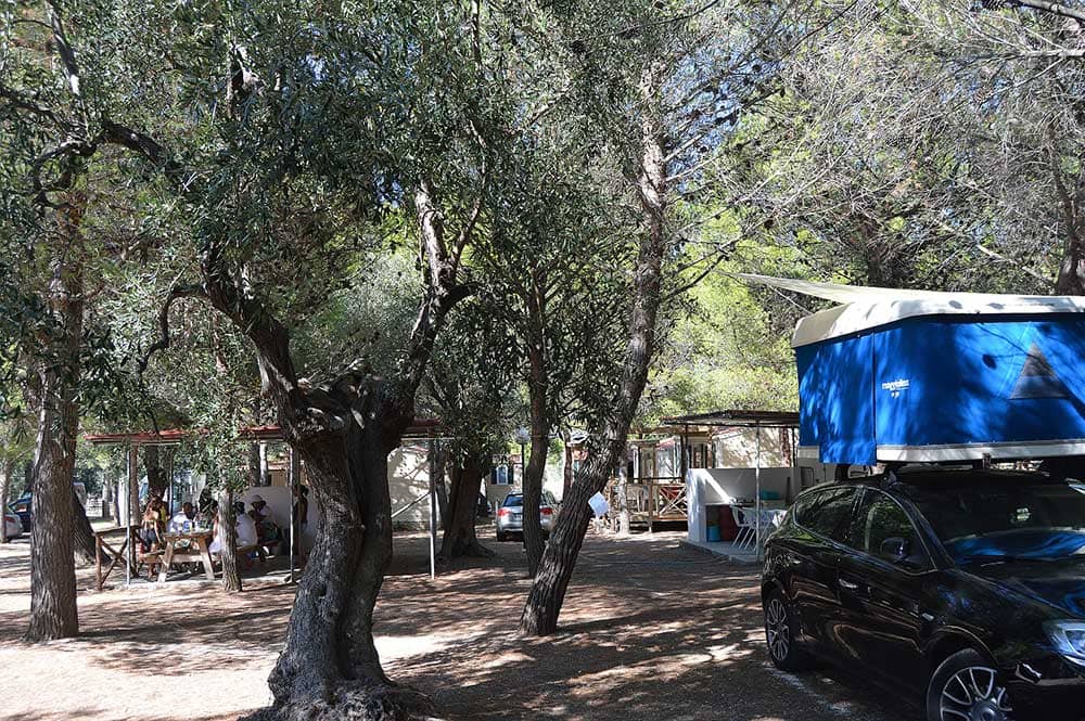 Camping Lama le Canne (2)