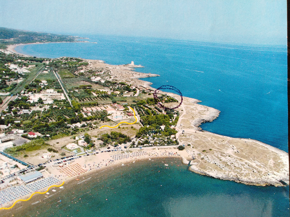 Demaria 4